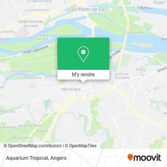 Aquarium Tropical plan
