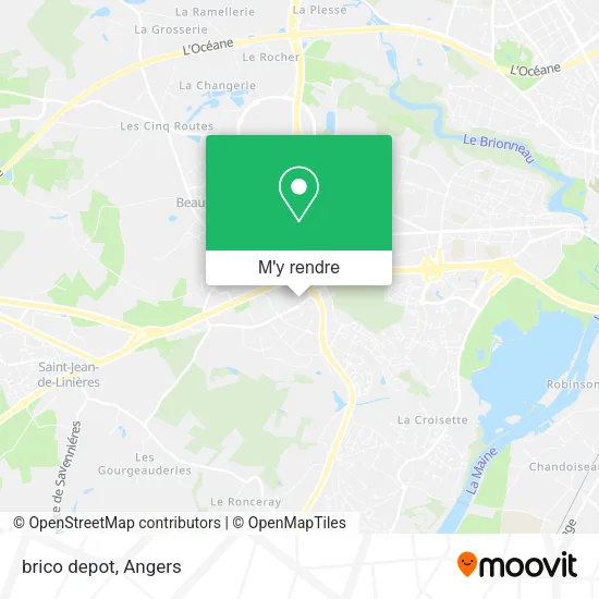 brico depot plan