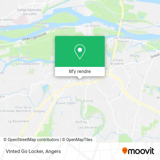 Vinted Go Locker plan