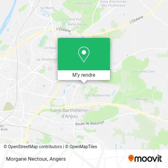 Morgane Nectoux plan