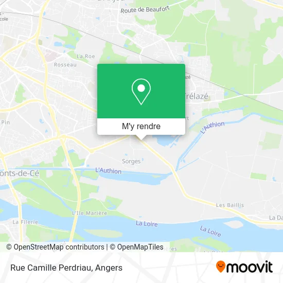 Rue Camille Perdriau plan