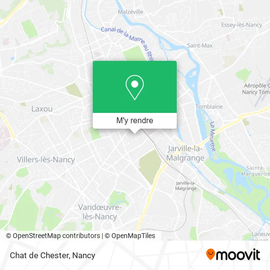 Chat de Chester plan