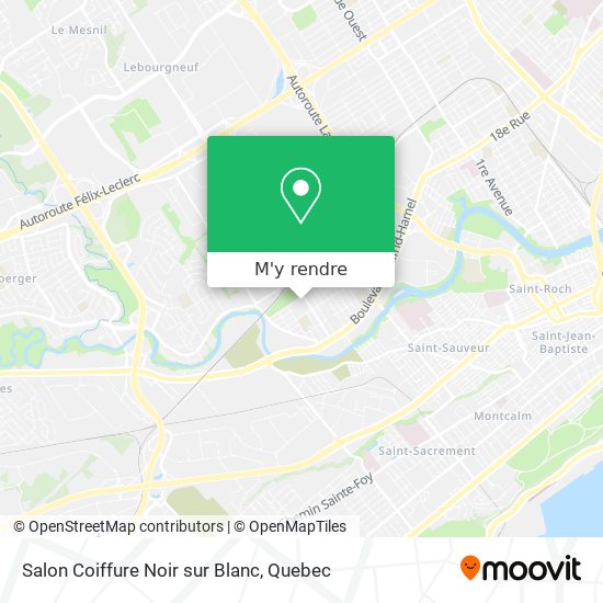 Salon Coiffure Noir sur Blanc plan