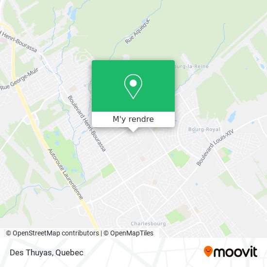 Des Thuyas plan