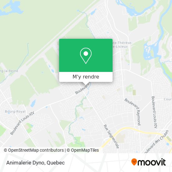 Animalerie Dyno plan