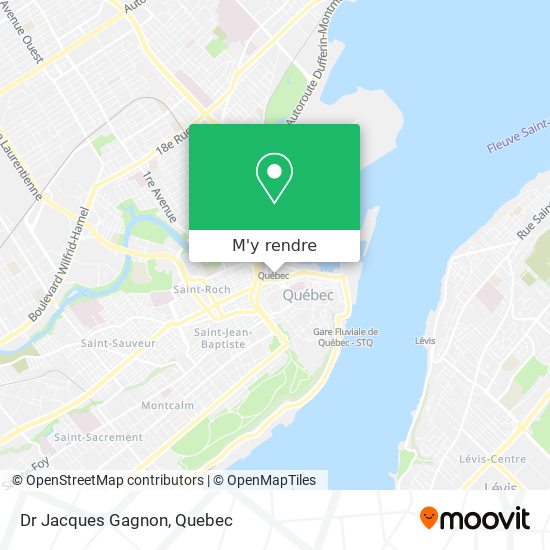 Dr Jacques Gagnon plan