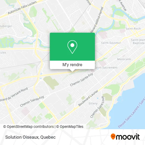 Solution Oiseaux plan
