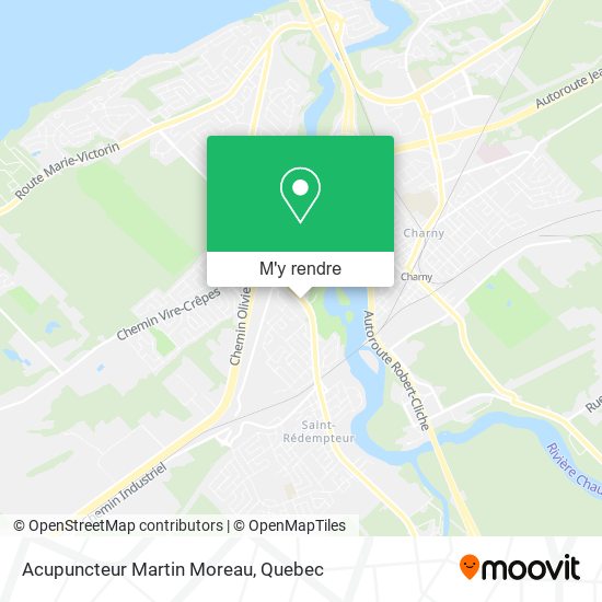 Acupuncteur Martin Moreau plan