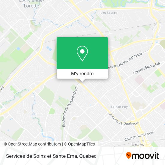 Services de Soins et Sante Ema plan