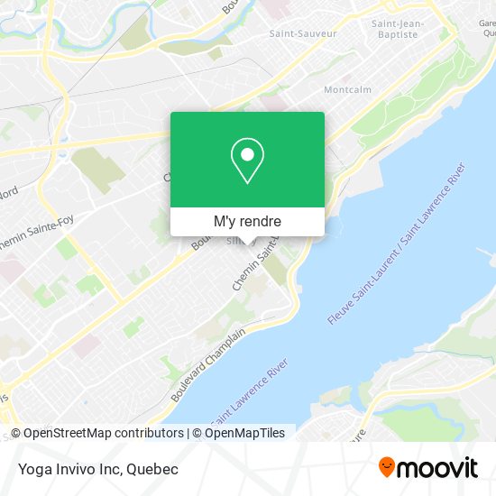 Yoga Invivo Inc plan