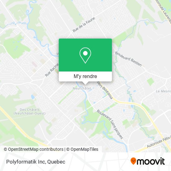 Polyformatik Inc plan