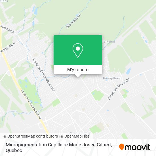 Micropigmentation Capillaire Marie-Josée Gilbert plan