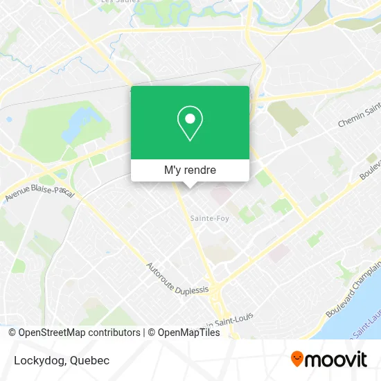 Lockydog plan