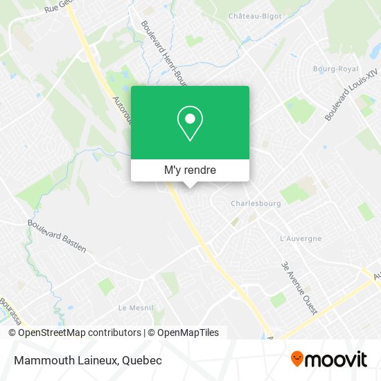 Mammouth Laineux plan