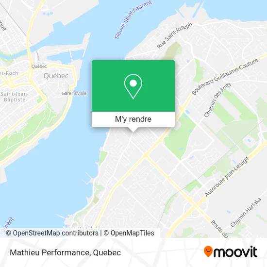 Mathieu Performance plan