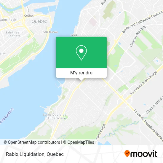 Rabix Liquidation plan
