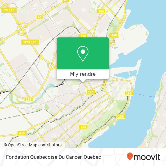 Fondation Quebecoise Du Cancer plan