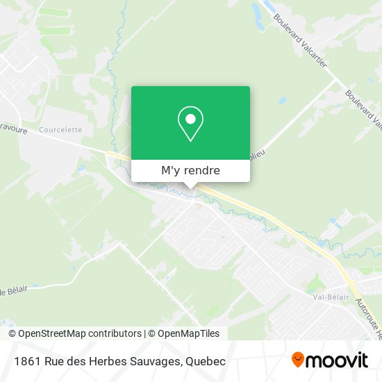 1861 Rue des Herbes Sauvages plan
