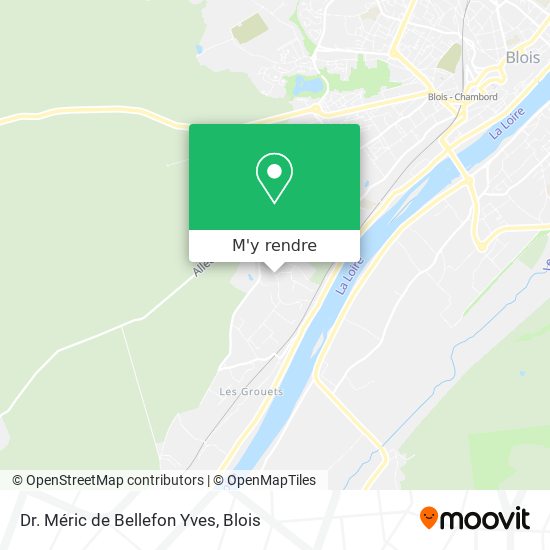 Dr. Méric de Bellefon Yves plan