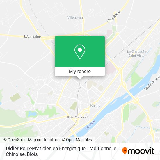Didier Roux-Praticien en Énergétique Traditionnelle Chinoise plan