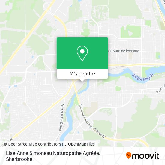 Lise-Anne Simoneau Naturopathe Agréée plan