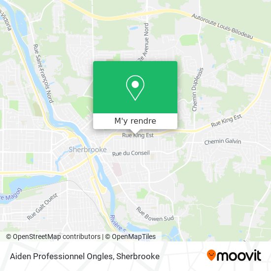 Aiden Professionnel Ongles plan