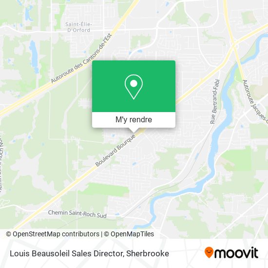Louis Beausoleil Sales Director plan