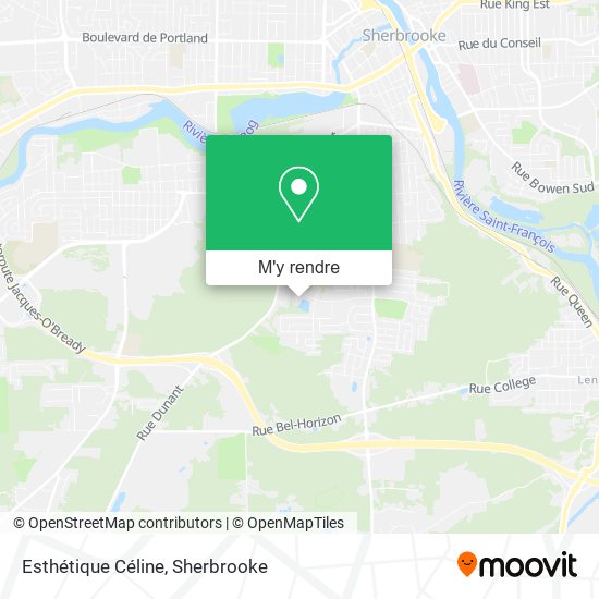 Esthétique Céline plan