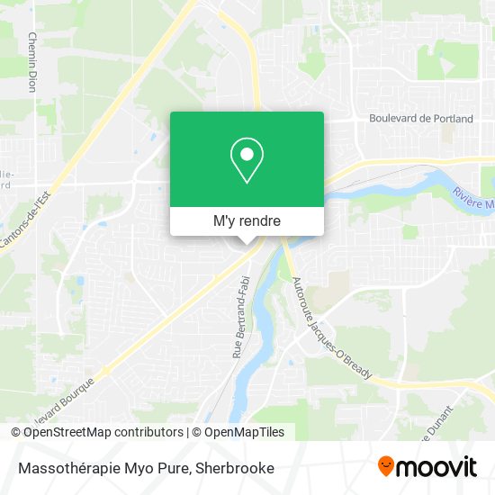 Massothérapie Myo Pure plan