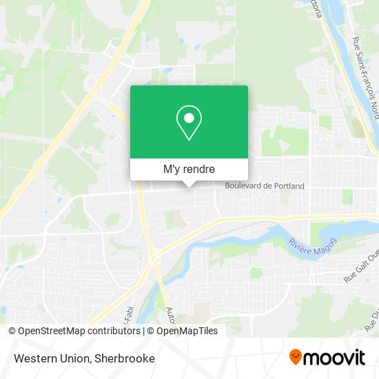 Western Union plan