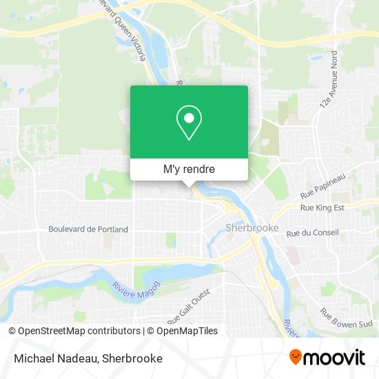 Michael Nadeau plan