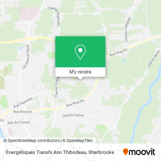 Énergétiques Tianshi Ann Thibodeau plan