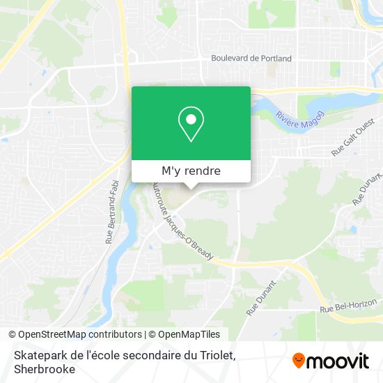 Skatepark de l'école secondaire du Triolet plan