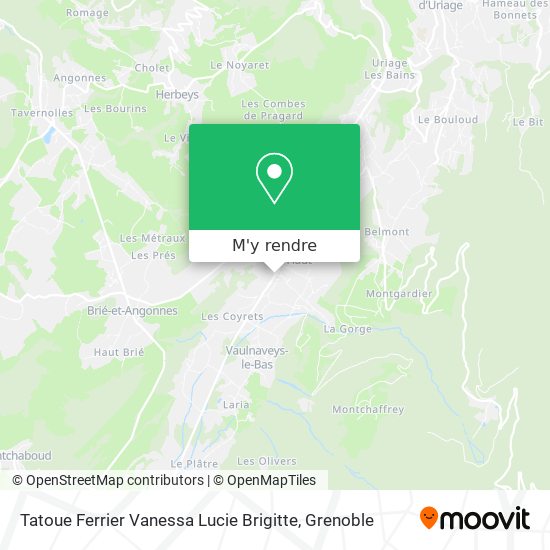 Tatoue Ferrier Vanessa Lucie Brigitte plan