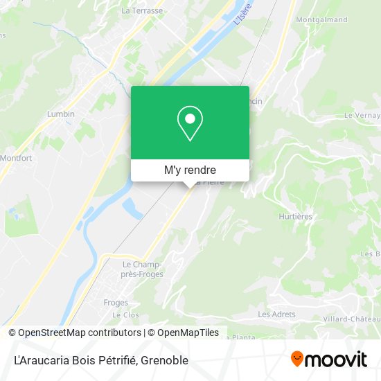L'Araucaria Bois Pétrifié plan