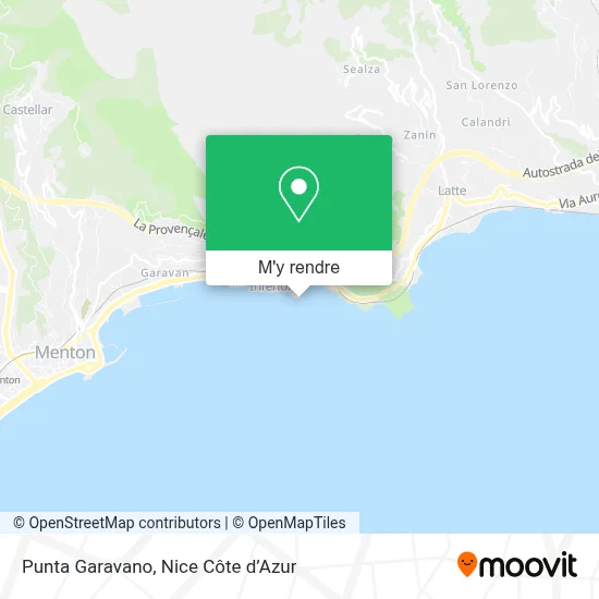 Punta Garavano plan