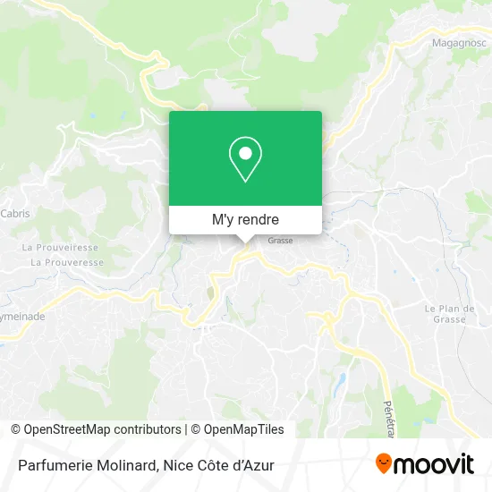 Parfumerie Molinard plan