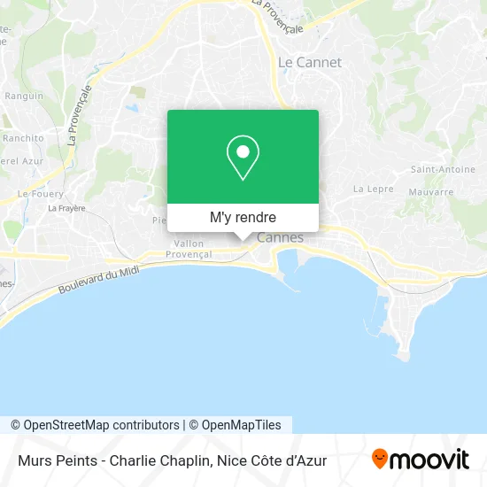 Murs Peints - Charlie Chaplin plan