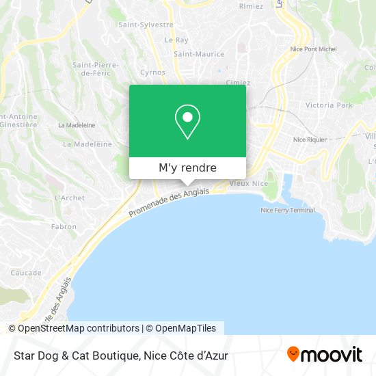 Star Dog & Cat Boutique plan