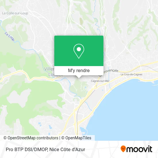 Pro BTP DSI/DMOP plan