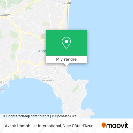 Avenir Immobilier International plan