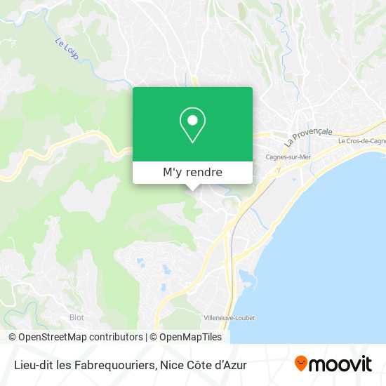 Lieu-dit les Fabrequouriers plan
