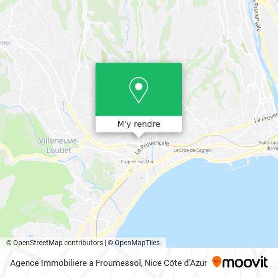 Agence Immobiliere a Froumessol plan