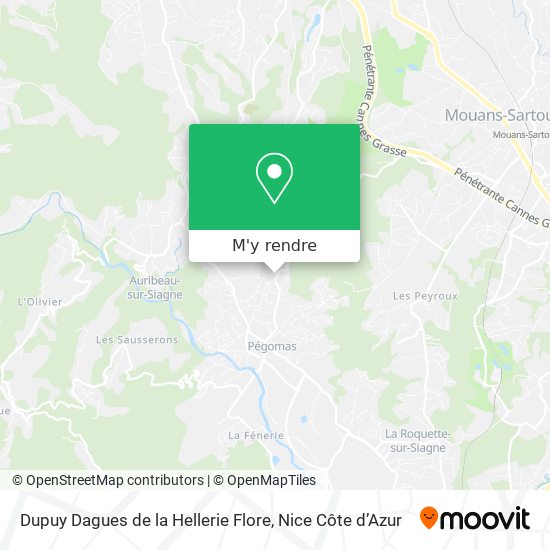 Dupuy Dagues de la Hellerie Flore plan