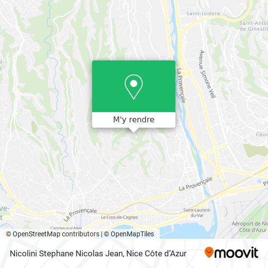 Nicolini Stephane Nicolas Jean plan