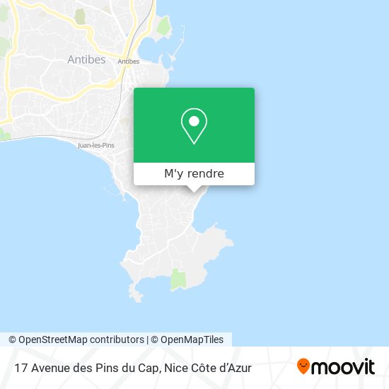 17 Avenue des Pins du Cap plan