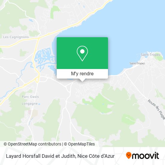 Layard Horsfall David et Judith plan