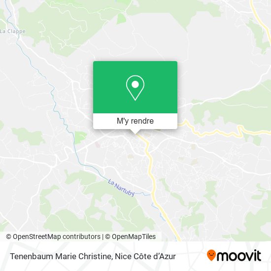 Tenenbaum Marie Christine plan