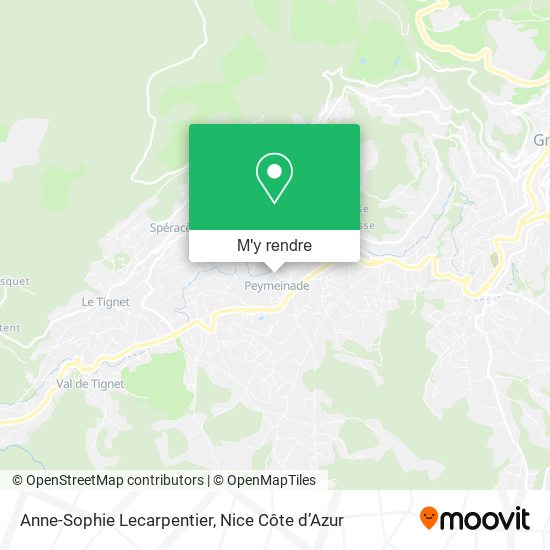 Anne-Sophie Lecarpentier plan