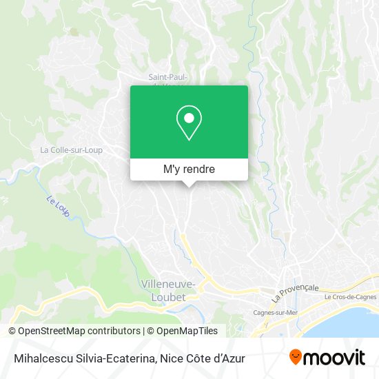 Mihalcescu Silvia-Ecaterina plan